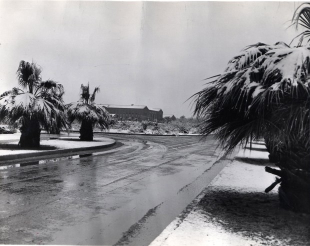What snow means to Tucson
